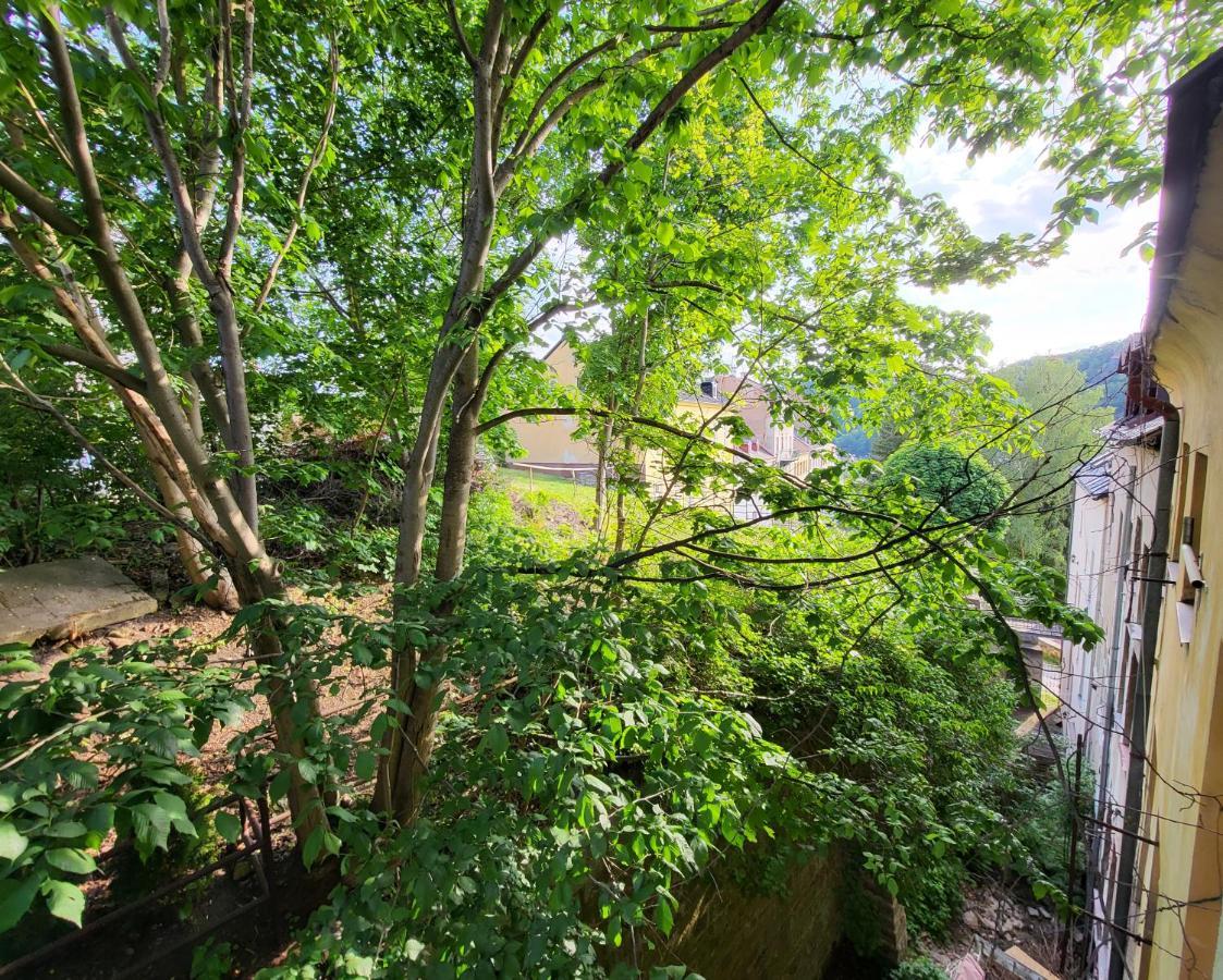 Excellent Apartments In Spa City Center 5 Min Walk From The Colonnade Karlsbad Exterior foto