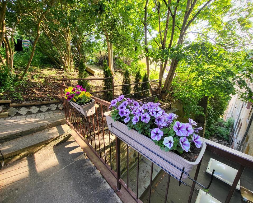 Excellent Apartments In Spa City Center 5 Min Walk From The Colonnade Karlsbad Exterior foto